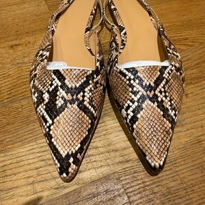Snake Print Women's Shoes